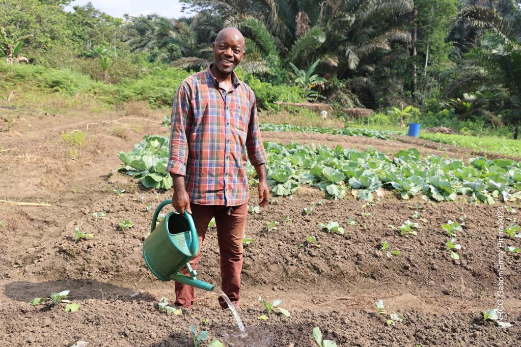 Les Nations Unies au Gabon